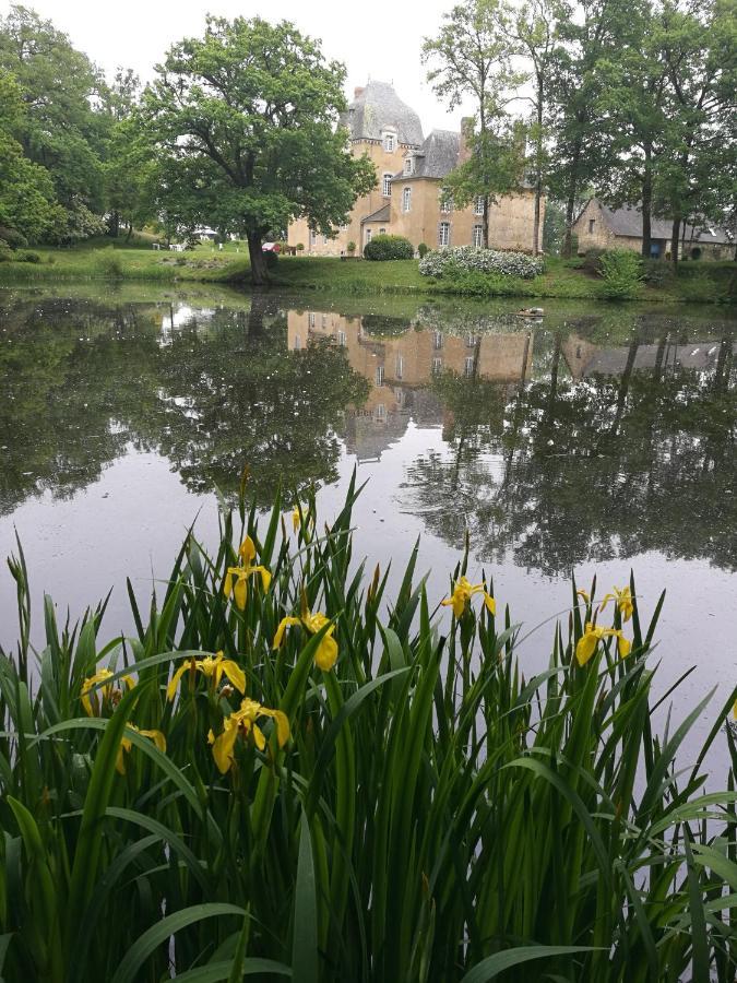 Chateau Du Bois Glaume Poligné Eksteriør billede