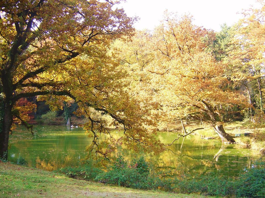 Chateau Du Bois Glaume Poligné Værelse billede